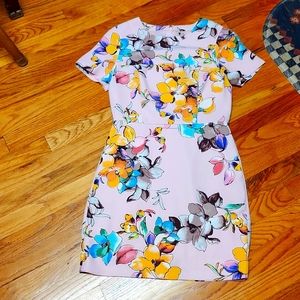 Women's 0 Floral Dress, Like New